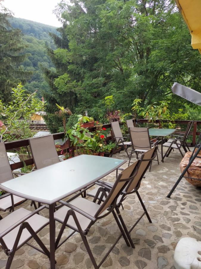 Pensiune Casa Barcaru Азуга Экстерьер фото